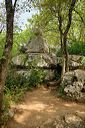 Les Vans (Ardèche) Bois de Païolive