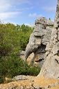 Les Vans (Ardèche) Eléphant du Bois de Païolive