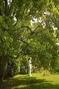 Art dans les jardins au jardin botanique de Metz