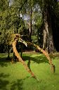 Art dans les jardins au jardin botanique de Metz