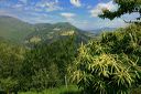 Nature en Pays basque