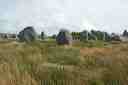 Carnac, menhirs