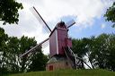 Moulin Perroquet neuf à Bruges