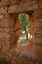 Forêt de Chiavari : maison en ruine