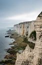 Etretat : falaises vues depuis l'escalier menant au Chaudron