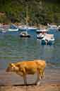 Corse : PORT DE PLAISANCE DE GIROLATA